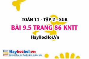 Bài 9.5 trang 86 Toán 11 tập 2 Kết nối tri thức: Thiết kế đường ray tàu lượn